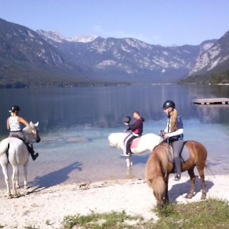 Tubej Mountain Room With Terase Bohinjska Bistrica Exterior photo